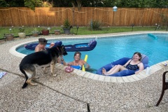 Dogs-Love-Pools