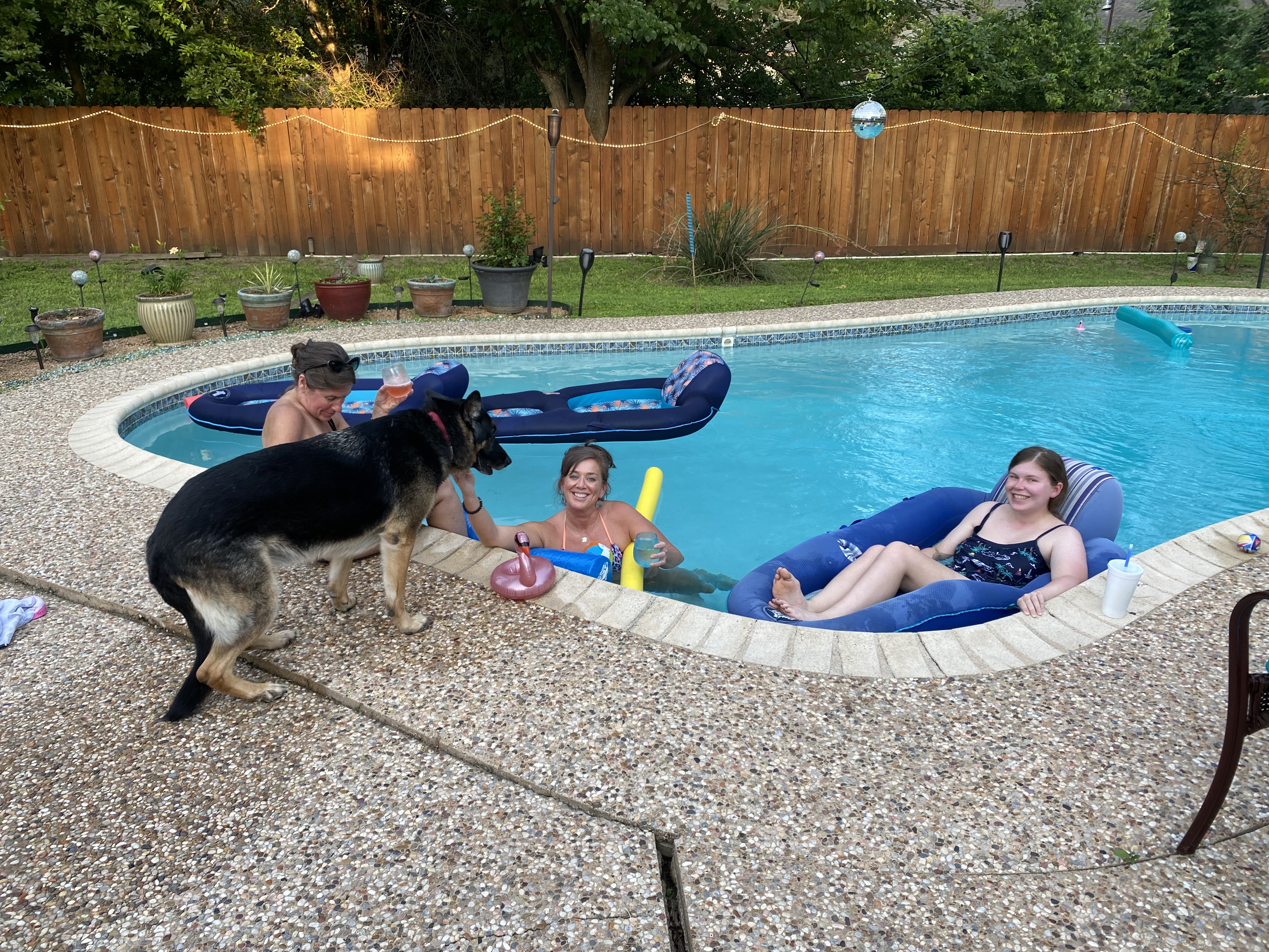 People, dogs, and cool vibes at the Loungy Turtle Pool