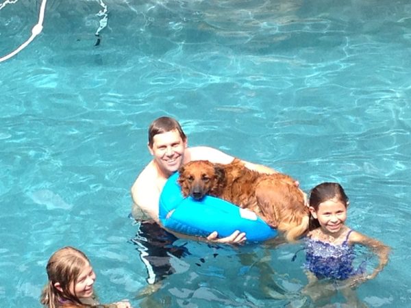 Dog on a Pool Float